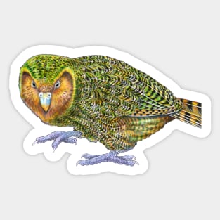 Kakapo Sticker